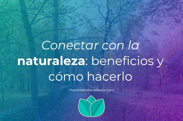 conectar con la naturaleza beneficios naturaleza biofilia baÃ±o de bosque parque Retiro Madrid