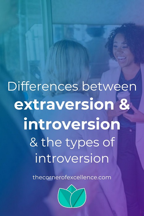 Differences extraversion introversion extroversion types of introversion work colleagues